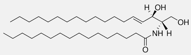 Bio Right Information